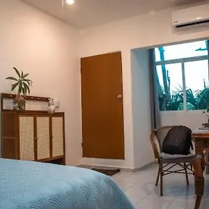 Cuca Macuca Hostel Puerto Morelos